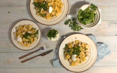 Testenine s piščancem